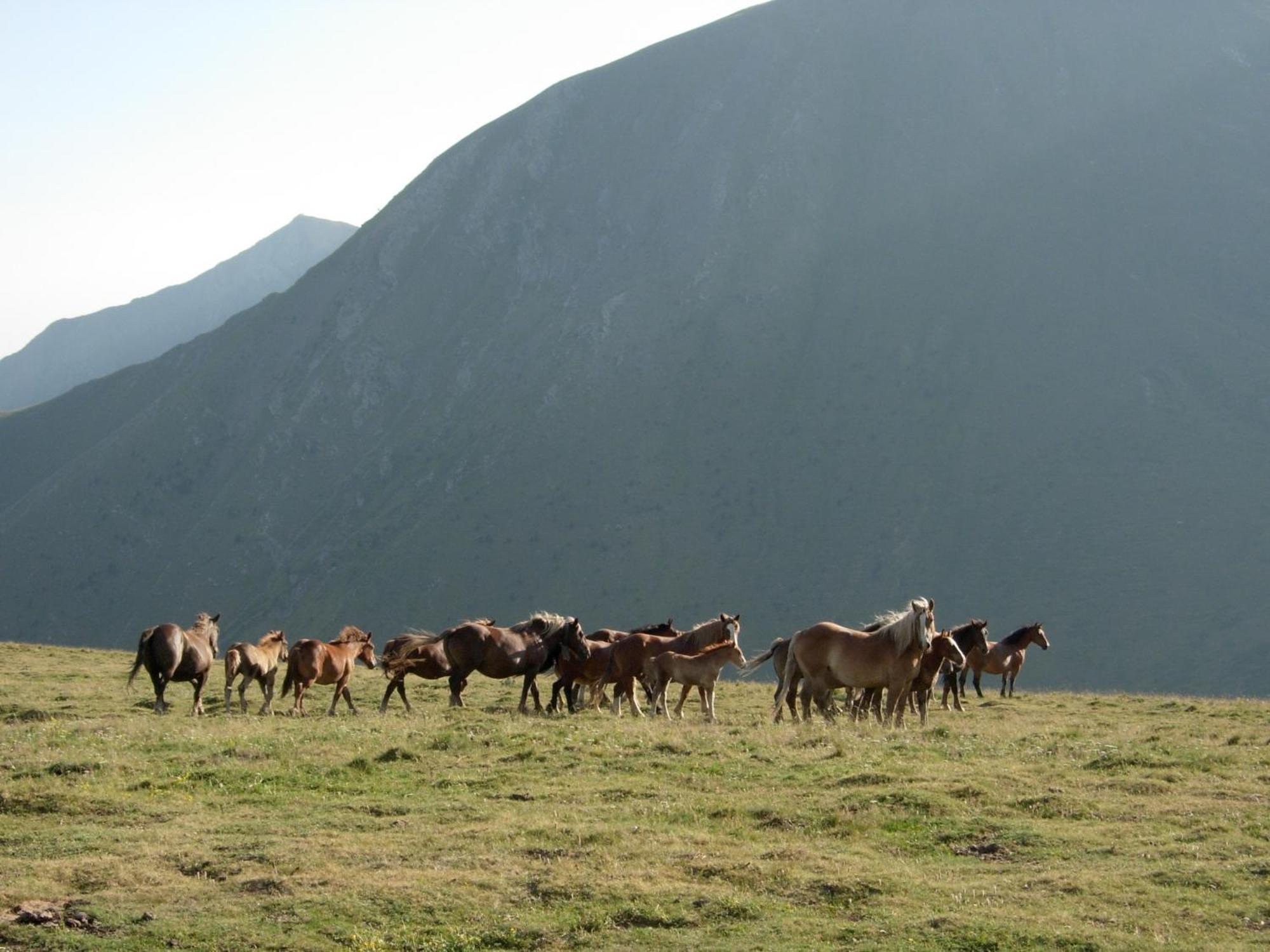 Casa Rural Era De Ferro Erillavall Kültér fotó