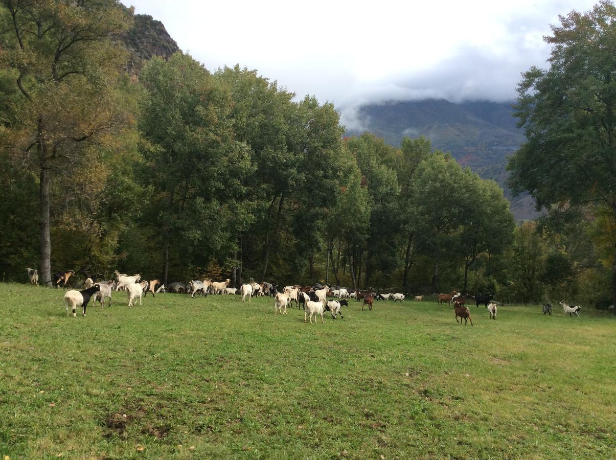 Casa Rural Era De Ferro Erillavall Kültér fotó